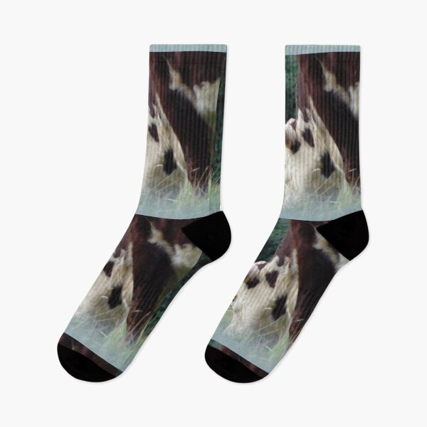 Item preview, Hereford cow grazing grassland  designed and sold by FastRapidash.