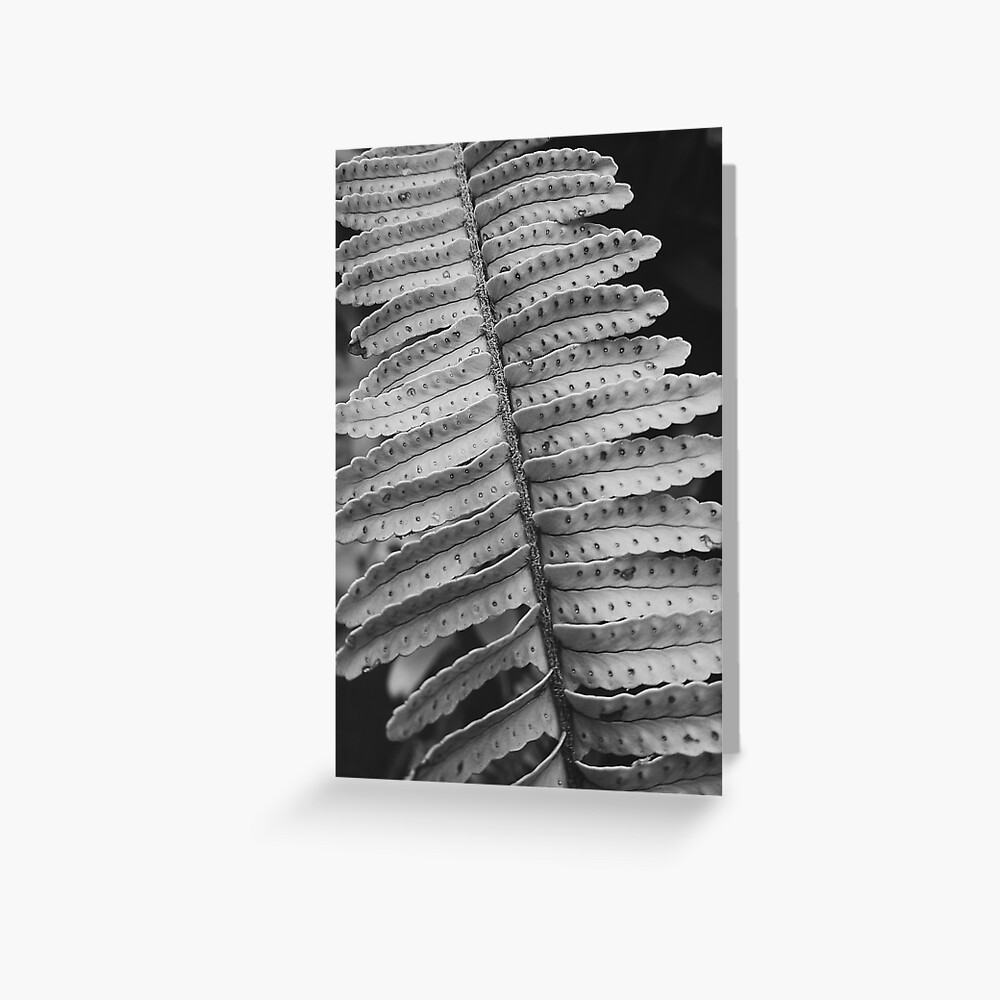 Cute Leaves Greeting Card