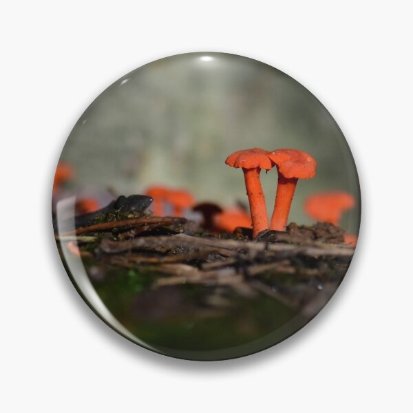 Item preview, Macro Mushrooms designed and sold by Leon Heyns.