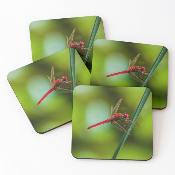 Item preview, Ruddy darter designed and sold by Markus Holsträter.