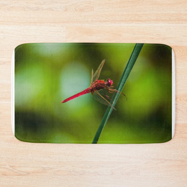 Item preview, Ruddy darter designed and sold by Markus Holsträter.