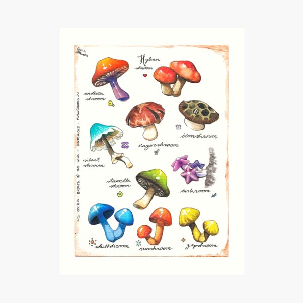 BOTW mushrooms Art Print