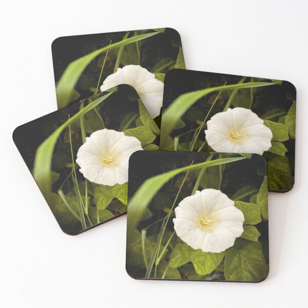 Item preview, Flowers Everywhere  designed and sold by jdavidsonphotos.