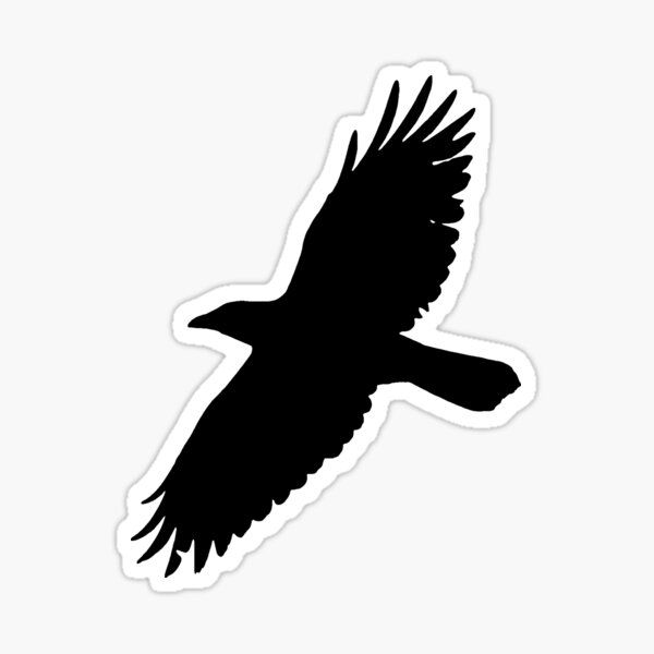 Crow in Flight Silhouette Two Sticker