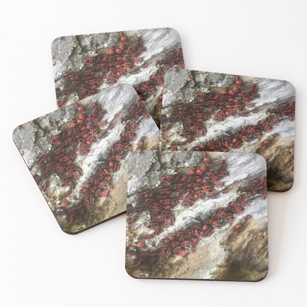 Item preview, Coasters (Set of 4) designed and sold by RageYion.