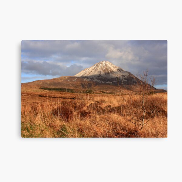 Mount Errigal From The West Canvas Print