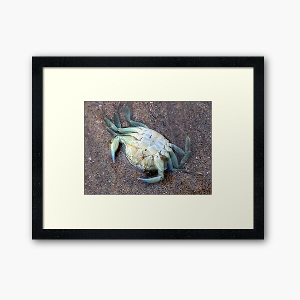 Item preview, Crab in rock pool designed and sold by chihuahuashower.