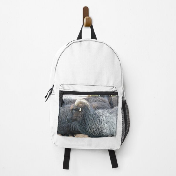 Item preview, Hebridean Ewe designed and sold by FastRapidash.