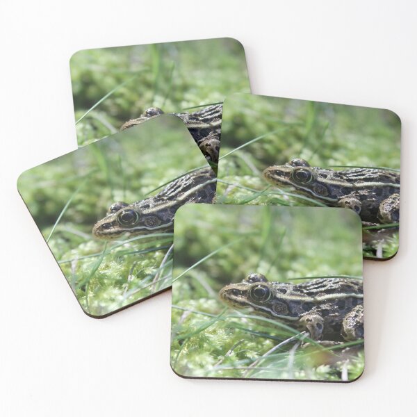 Item preview, Such a big world designed and sold by SariePhotograph.