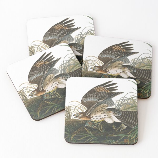 Item preview, Winter Hawk (Red-shouldered) by John James Audubon designed and sold by TheCurators.