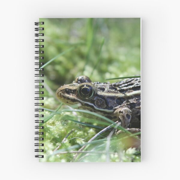 Item preview, Such a big world designed and sold by SariePhotograph.