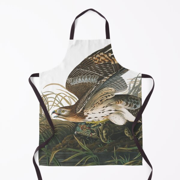 Item preview, Winter Hawk (Red-shouldered) by John James Audubon designed and sold by TheCurators.