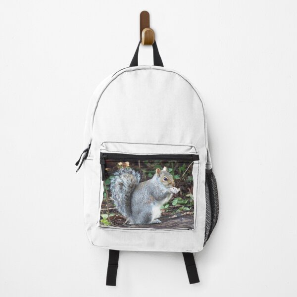 Item preview, Grey Squirrel (Sciurus carolinensis) designed and sold by FastRapidash.
