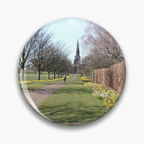 Artikelvorschau, Narzissen in voller Blüte in Wentworth, Rotherham entworfen und verkauft von Itsgrimupnorth.