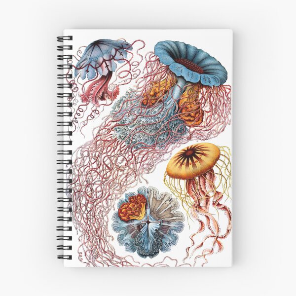 Item preview, JELLYFISH ,OCEAN SEA LIFE SCENE DISCOMEDUSAE,NUDIBRANCHIA designed and sold by BulganLumini.