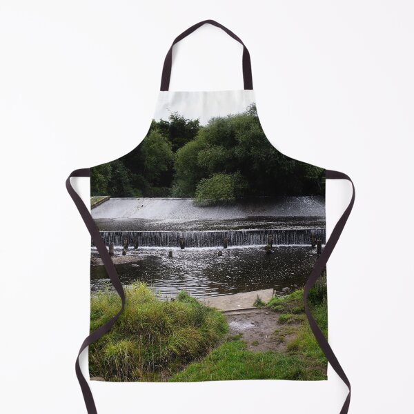 Item preview, Derwenthaugh Fish Pass designed and sold by BritishYank.
