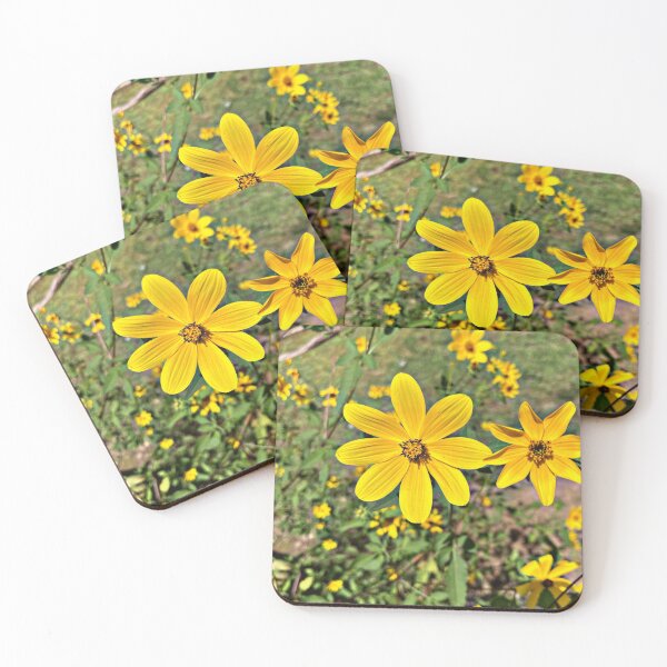 Item preview, Black Eyed Susan designed and sold by SGWhitley05.