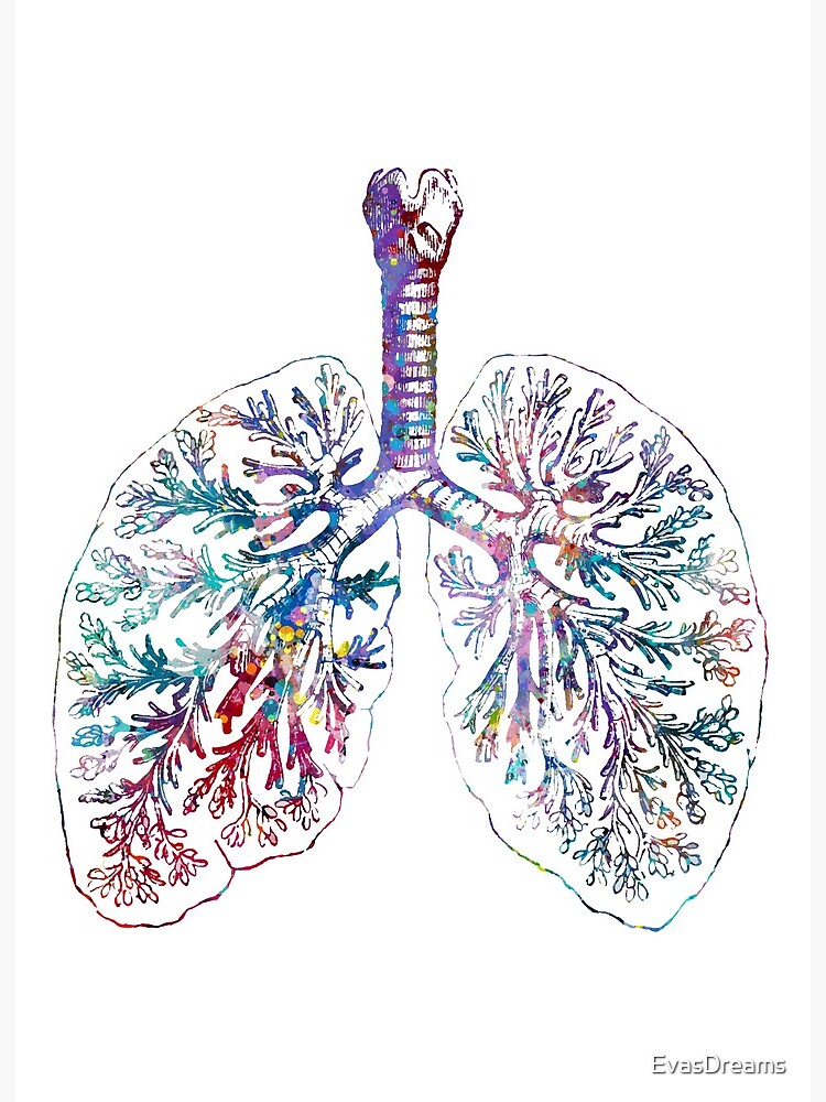 ABSTRACT LUNGS, 5 X 7, 8 X 10, or 11 X 14 Art Print, Modern, Eclectic,  Medical, Anatomy, Prisma Colors, Pulmonology, Hand-drawn, Décor 