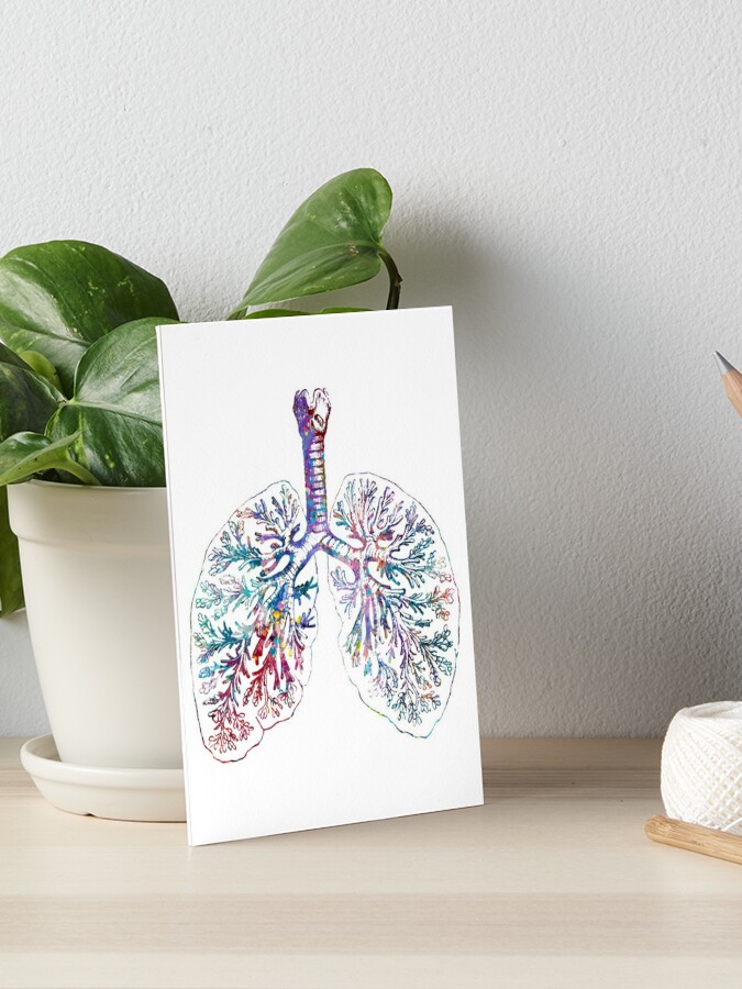 Anatomical Lungs Needlepoint Canvas