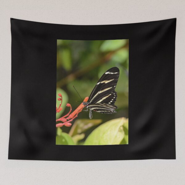 Item preview, Bold Butterfly designed and sold by RewskiPhotos.