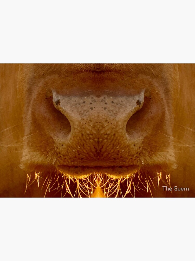 Guernsey Cow Face Covering by theguern