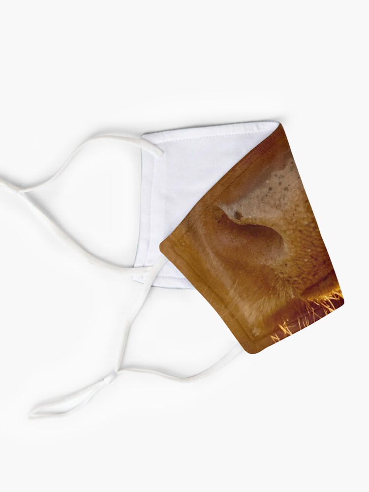 Alternate view of Guernsey Cow Face Covering Mask