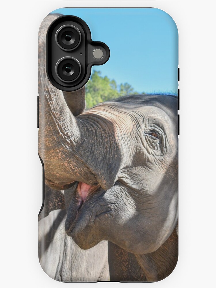 Thumbnail 1 of 4, iPhone Case, Thailand Ethical Elephant Sanctuary - Blue Daily Elephant Care designed and sold by ChloeDickenson.