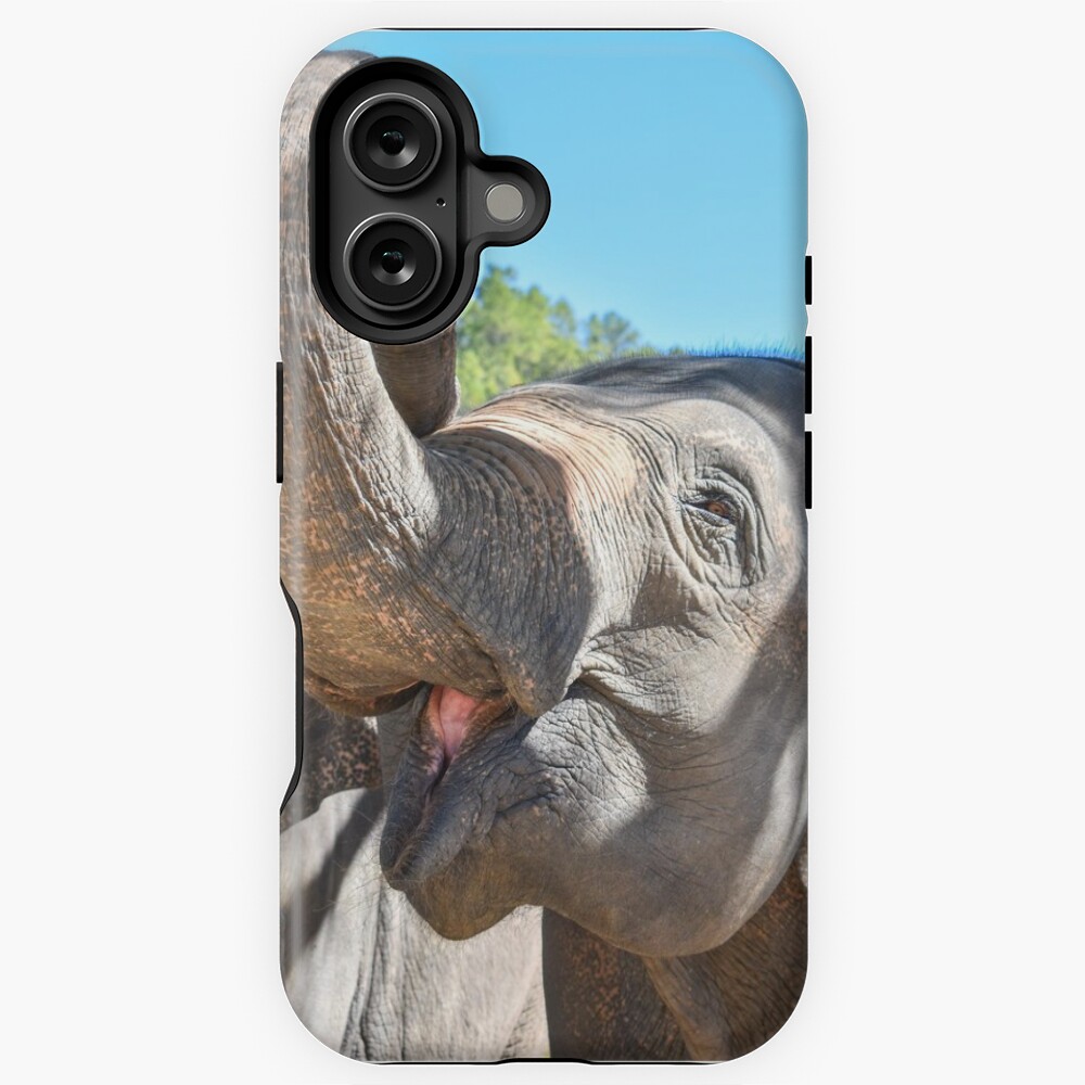 Item preview, iPhone Magsafe Tough Case designed and sold by ChloeDickenson.
