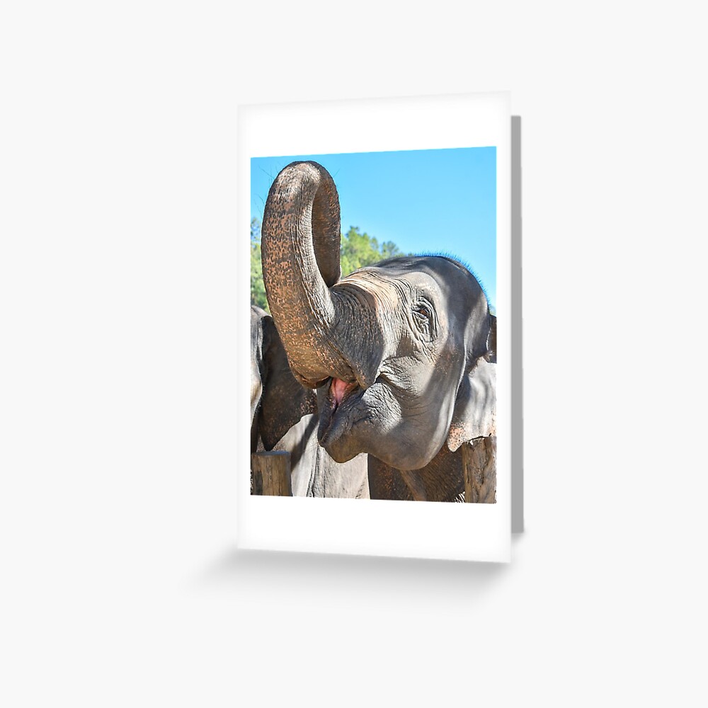 Item preview, Greeting Card designed and sold by ChloeDickenson.