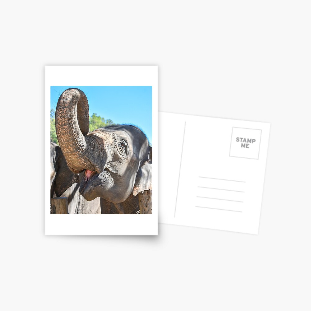 Item preview, Postcard designed and sold by ChloeDickenson.