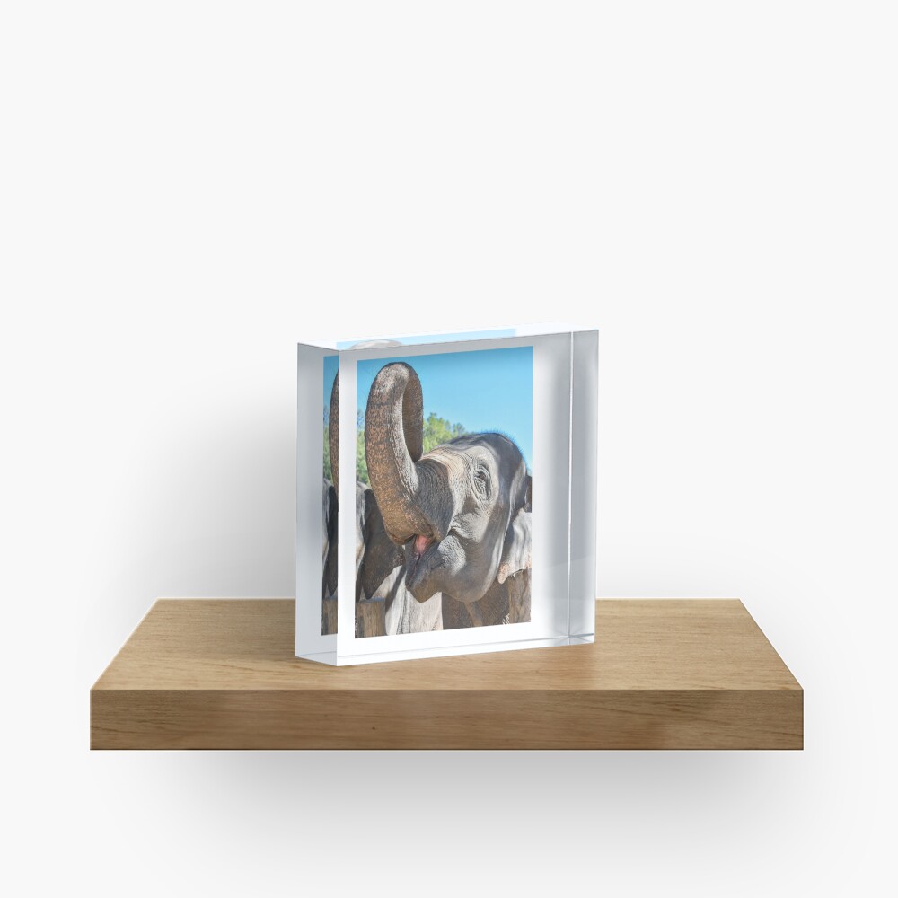 Item preview, Acrylic Block designed and sold by ChloeDickenson.