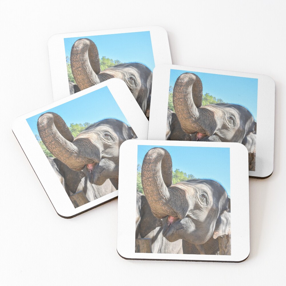 Item preview, Coasters (Set of 4) designed and sold by ChloeDickenson.