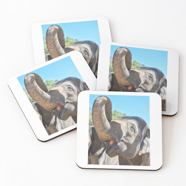 Item preview, Thailand Ethical Elephant Sanctuary - Blue Daily Elephant Care designed and sold by ChloeDickenson.