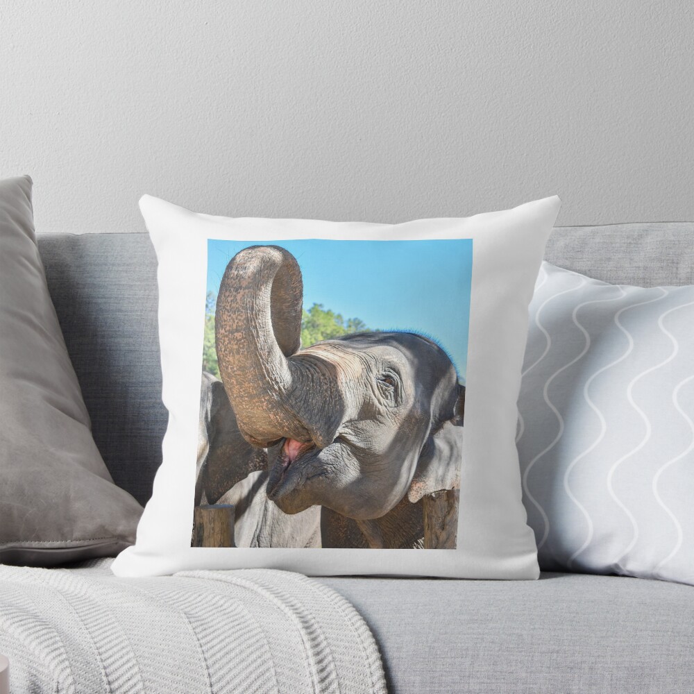 Item preview, Throw Pillow designed and sold by ChloeDickenson.