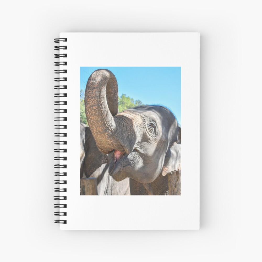Item preview, Spiral Notebook designed and sold by ChloeDickenson.