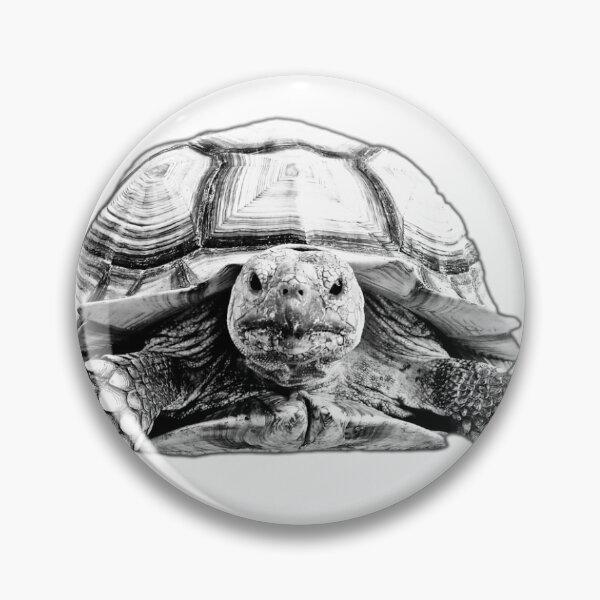 Item preview, Motomoto the Wondering Tortoise designed and sold by artsy90designs.
