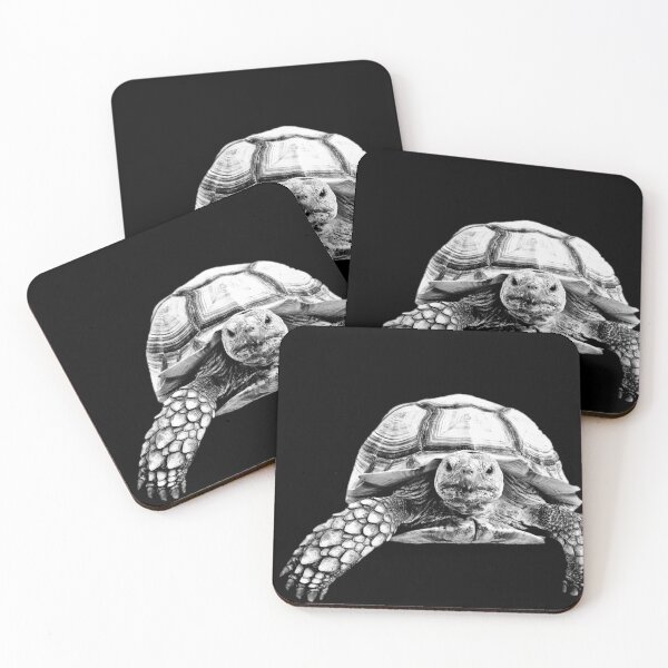 Item preview, Motomoto the Wondering Tortoise designed and sold by artsy90designs.