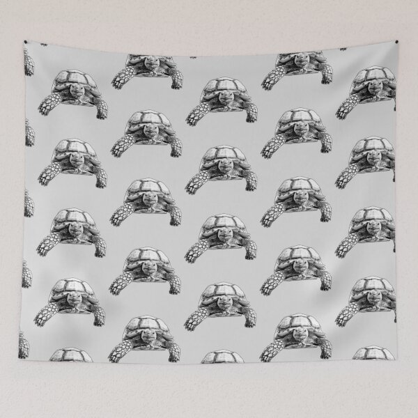 Item preview, Motomoto the Wondering Tortoise designed and sold by artsy90designs.