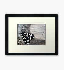 Blossom_1307 Framed Print