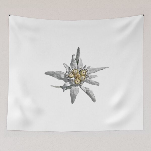 Item preview, Edelweiss Flower designed and sold by Christoferos.