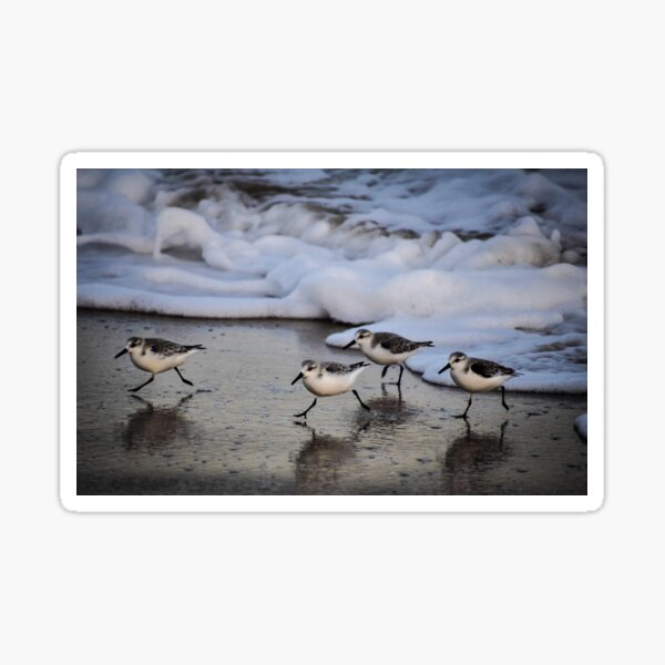 Item preview, Sand Pipers Running designed and sold by Kian  Burch.