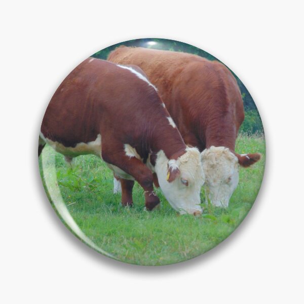 Item preview, Traditional Hereford Steer Grazing designed and sold by FastRapidash.