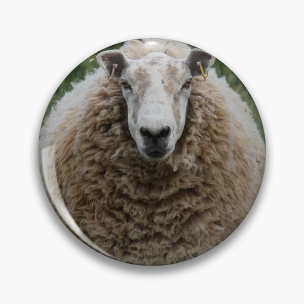 Item preview, Moody sheep designed and sold by Kaneth-Shoots.