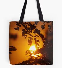 Arizona Sun Tote Bag