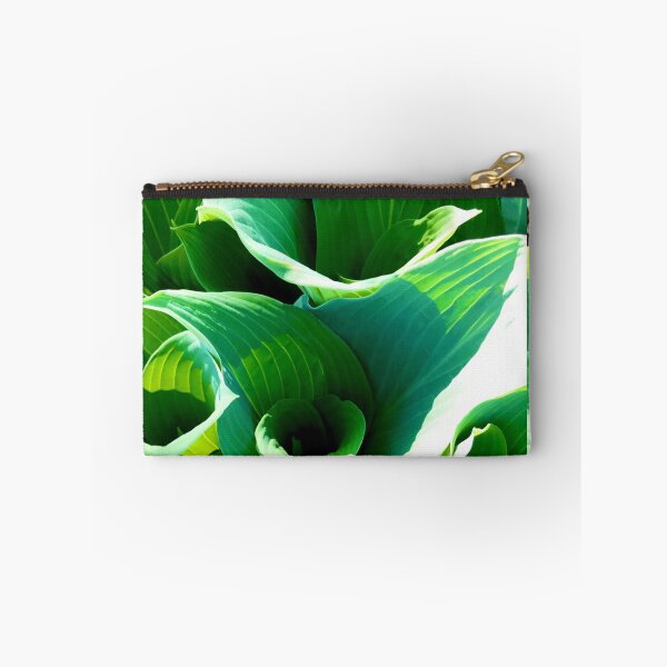 Aperçu de l'œuvre Hostas créée et vendue par BtheLight.