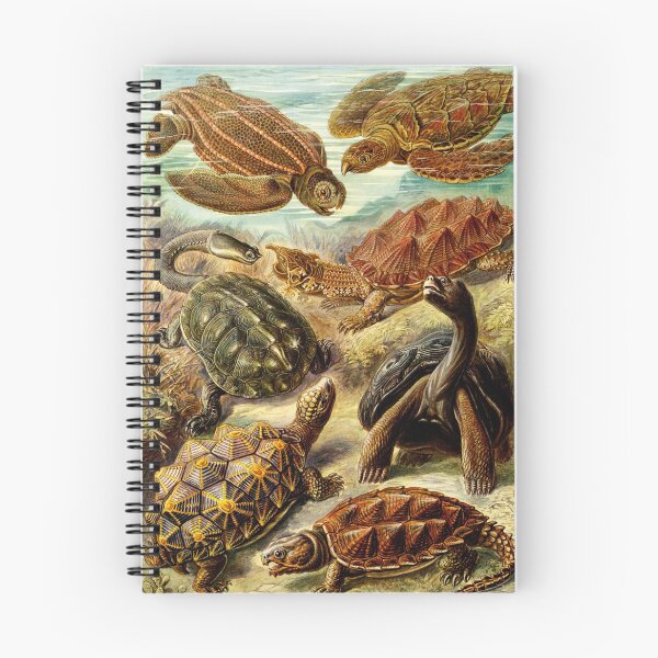Item preview, OCEAN SEA LIFE SCENE SEA TURTLES ,MOLLUSCS,NUDIBRANCHIA,SEA SNAILS IN AQUA BLUE designed and sold by BulganLumini.