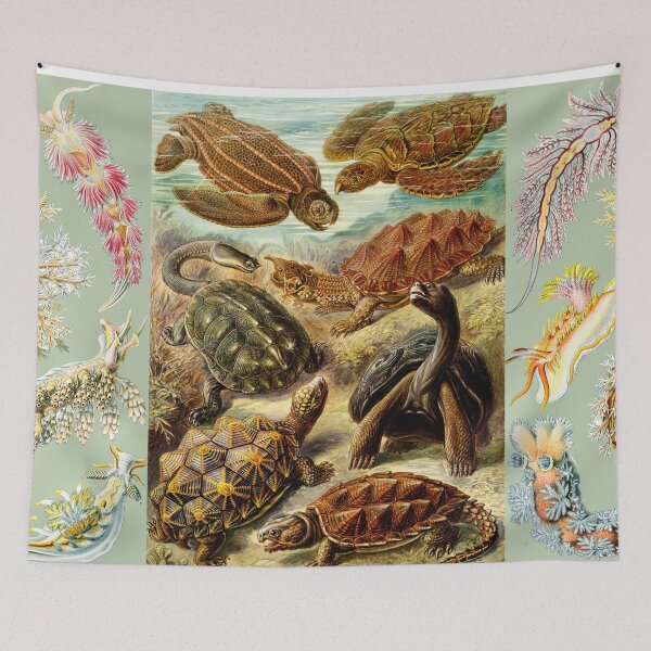 Item preview, OCEAN SEA LIFE SCENE SEA TURTLES ,MOLLUSCS,NUDIBRANCHIA,SEA SNAILS IN AQUA BLUE designed and sold by BulganLumini.