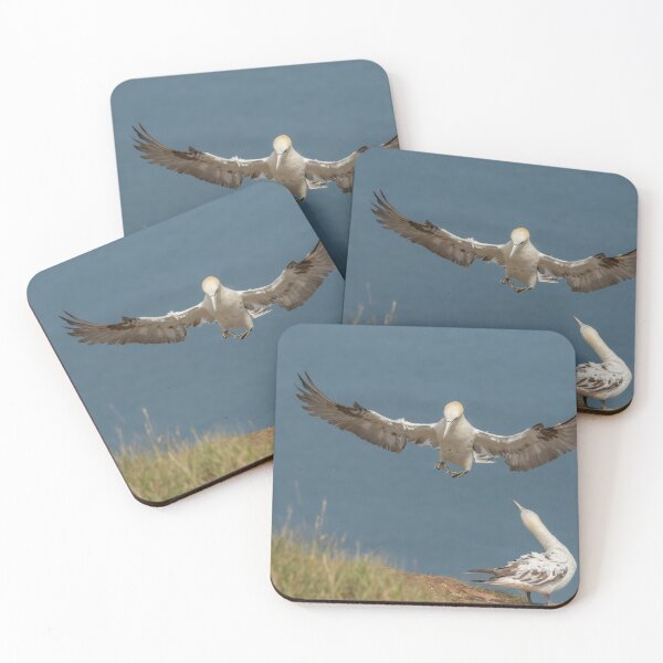 Item preview, Gannet inflight designed and sold by JLP ARTWORKS.