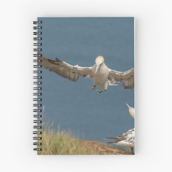 Item preview, Gannet inflight designed and sold by JLP ARTWORKS.