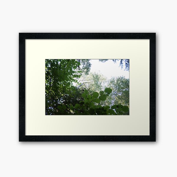 Forest_1302 Gerahmter Kunstdruck